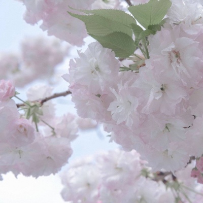 Furry插画构图灵感Furry群